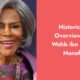 historical overview of wahb ibn abd manaf i1223 596